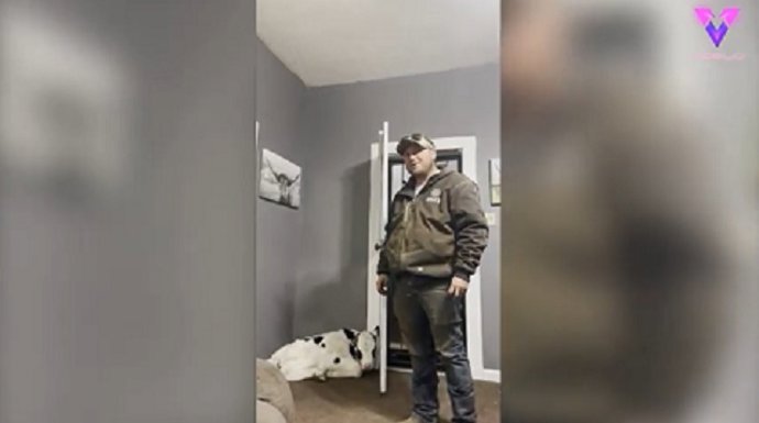 Una joven sorprende a su pareja regalándole una vaca