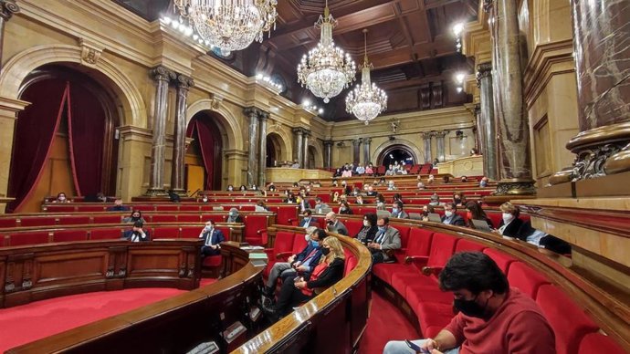 Debate monográfico de salud mental en el pleno del Parlament