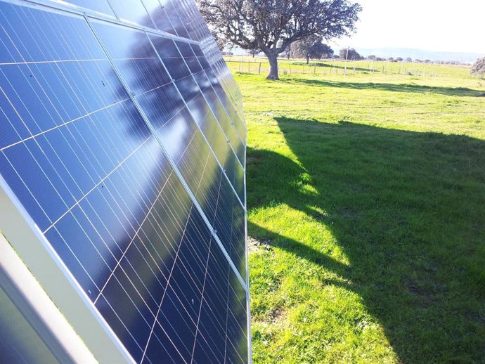 Archivo - Parque solar de Opdenergy