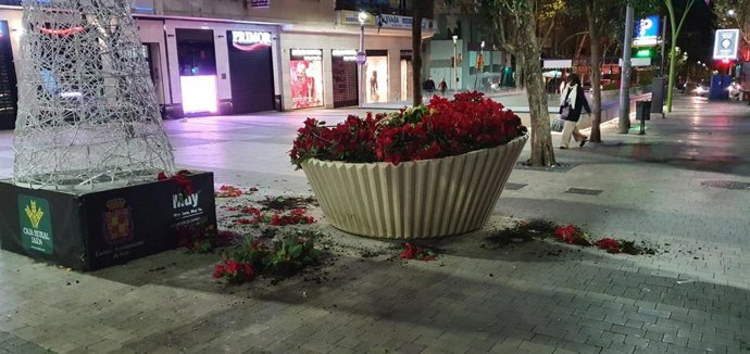 Daños en uno de los maceteros con pascueros.