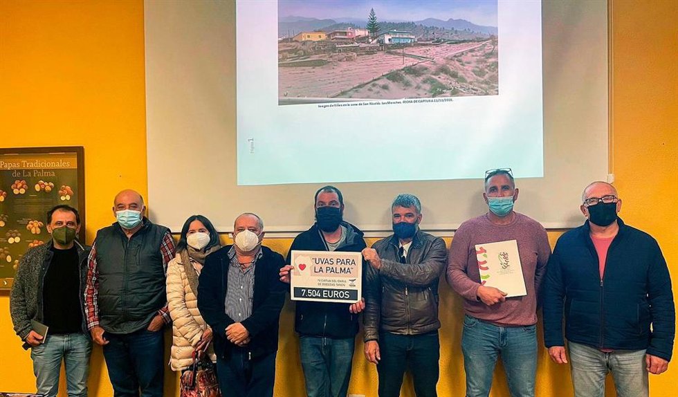 Miembros pleno Consejo Regulador de la D.O. Vinos La Palma