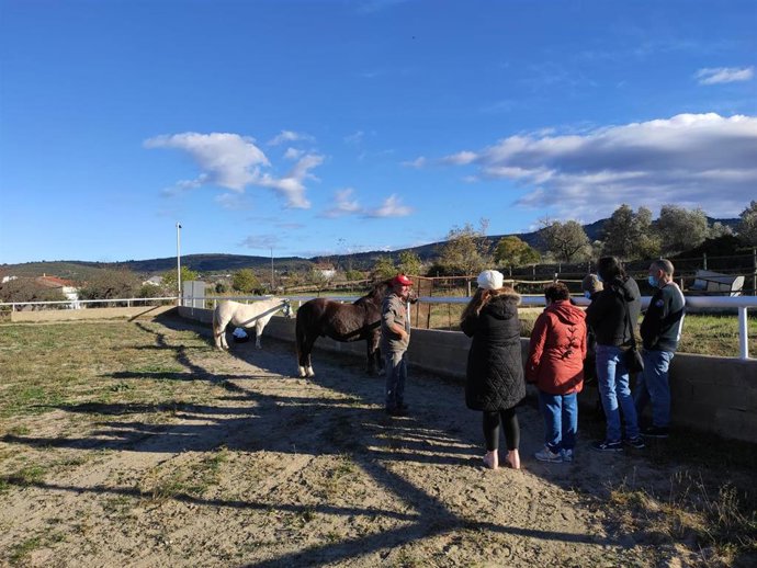Terapia con caballos para las personas con enfermedad mental crónica del centro especializado de Albocasser (Castellón)