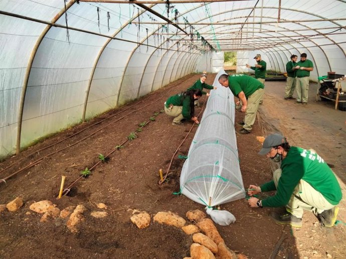 Alumnos del curso 'Raixa 2021' realizando una formación práctica.