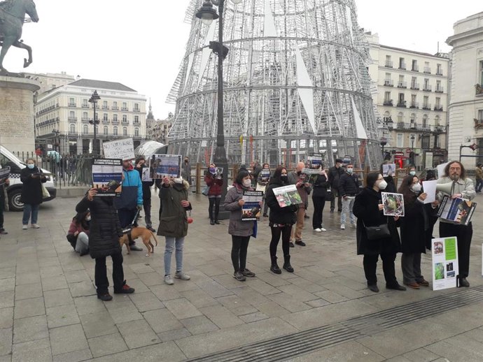 Concentración en Sol contra el exterminio de cotorras en la capital