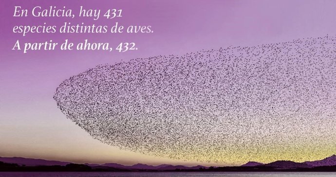 Promoción de Renfe para el AVE a Galicia