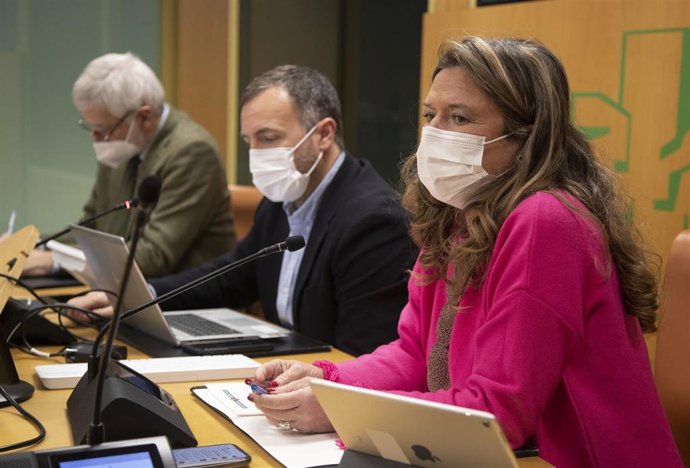 La consejera de Salud, Gotzone Sagardui, en una comparencia en el Parlamento Vasco.