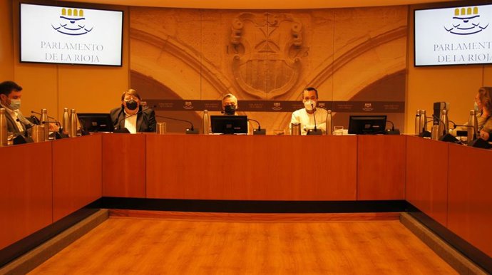 El presidente del CSIF interviene en el Parlamento riojano