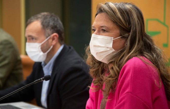 Gotzone Sagardui, en la Comisión de Salud del Parlamento Vasco