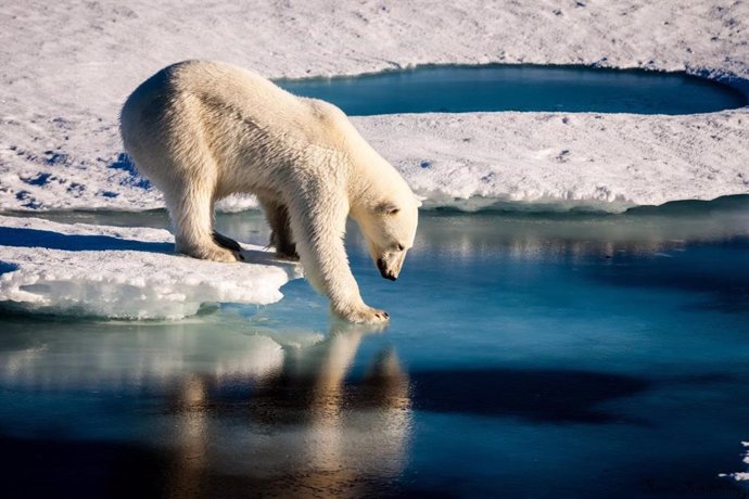 Archivo -    Un cambio importante en los patrones del viento del Ártico occidental ocurrió en invierno de 2017 y su efecto en el movimiento del hielo marino son indicadores posibles de un clima cambiante