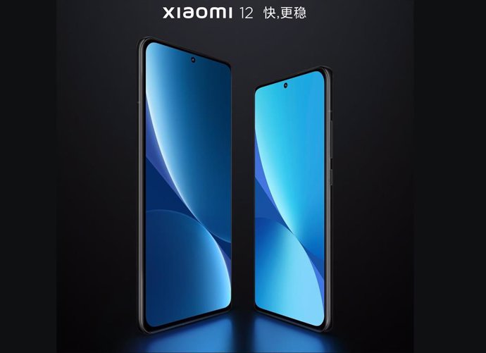 Xiaomi 12.