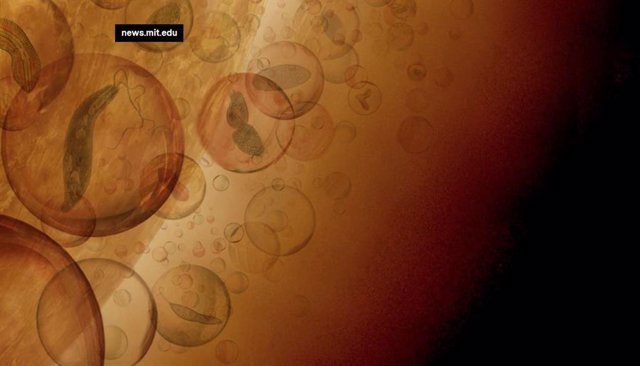 Concepción artística de la biosfera aérea en capas de nubes de la atmósfera de Venus. En esta imagen, la vida microbiana hipotética en las nubes de Venus reside en partículas protectoras de la nube y es transportada por los vientos alrededor del planeta