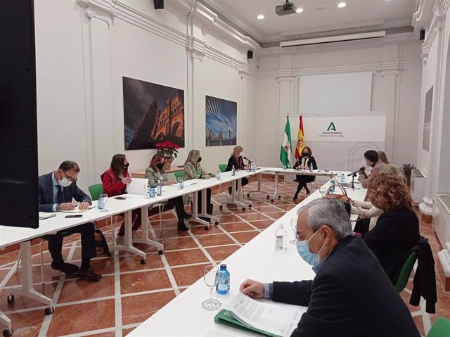 Reunión del Foro de Inmigración presidido por la delegada de la Junta en Málaga, Patricia Navarro.
