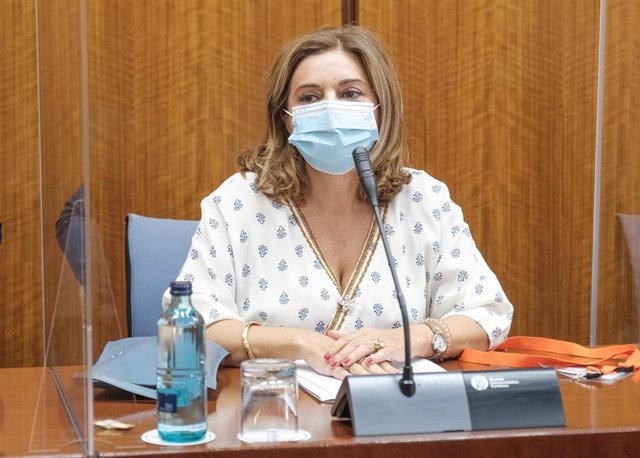 Archivo - Carmen Ibanco en la comisión de investigación de la Faffe del Parlamento andaluz