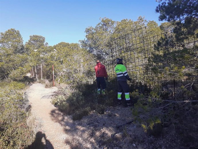 Inicio de las obras de adecuación del camino de ronda.