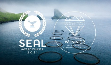 Comunicados Internacional