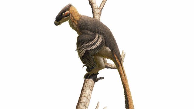 Vectiraptor greeni, un feroz dinosaurio depredador de la Isla de Wight