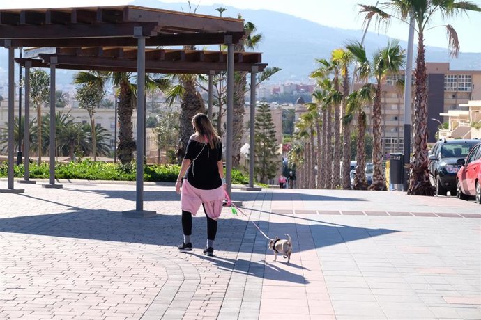 Archivo - Una mujer pasea a su perro en una imagen de achivo.