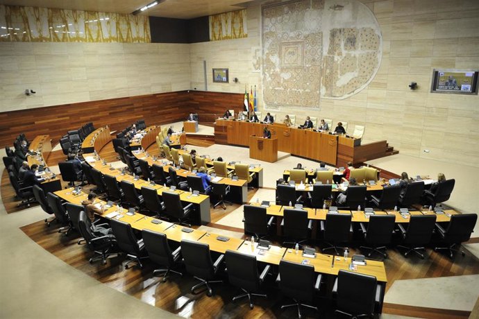 Pleno de presupuestos para el ejercicio 2022