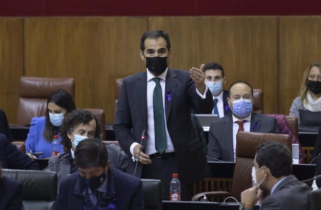 El portavoz del grupo parlamentario PP-A, José Antonio Nieto, en una fotografía de archivo, ante el pleno del Parlamento