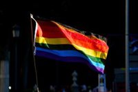Vox reconoce que hay personas LGTBI que sufren discriminación pero "no hay justificación para dar privilegios"
