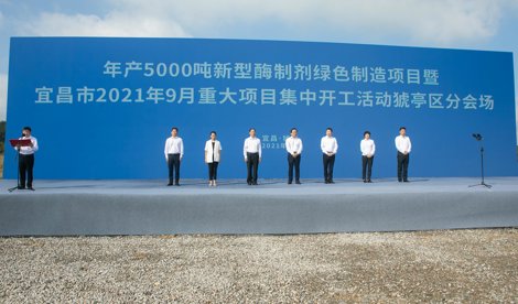 Comunicados Internacional