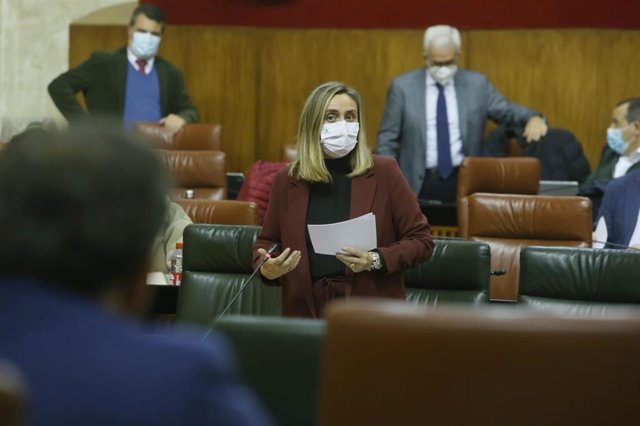 Marifrán Carazo, durante su intervención en la sesión plenaria en el Parlamento.