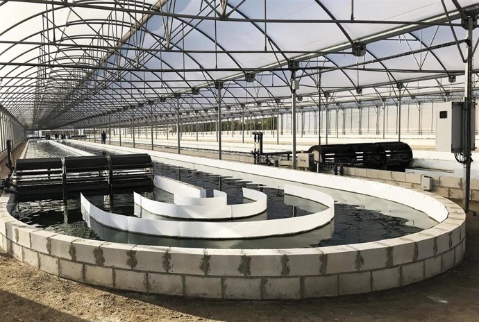 Archivo - Imagen de recurso de Biorizon Biotech.