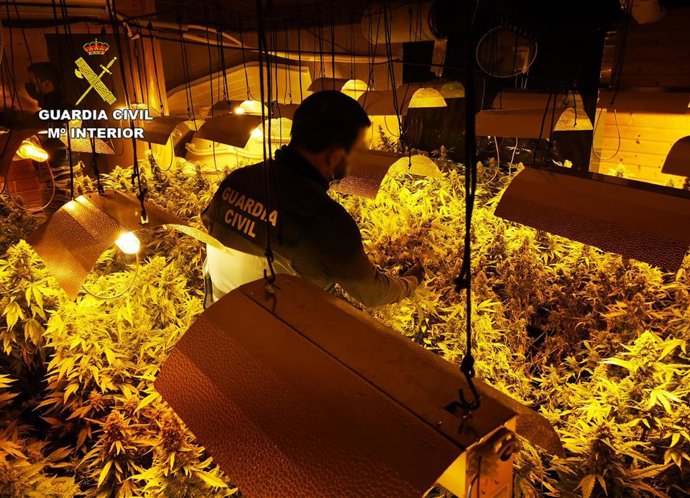 Vídeo de la noticia