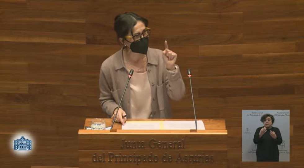 Dolores Carcedo en la Junta General.