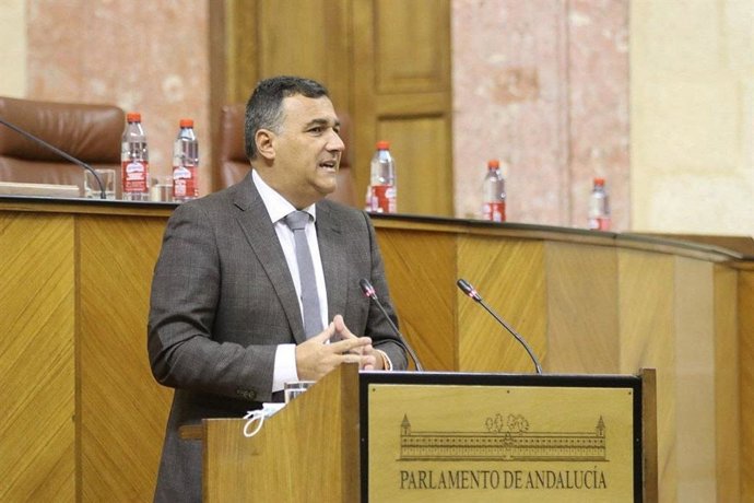 El parlamentario de Cs, Carlos Hernández White, este jueves en el Pleno del Parlamento.