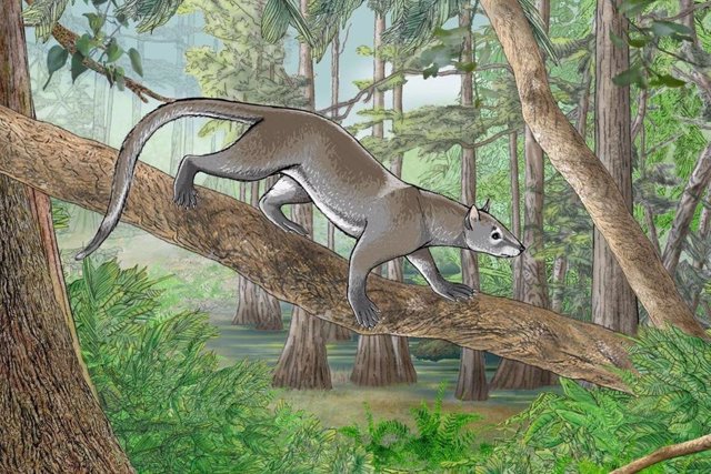 Impresión artística de Dormaalocyon latouri, uno de los primeros mamíferos modernos de Europa