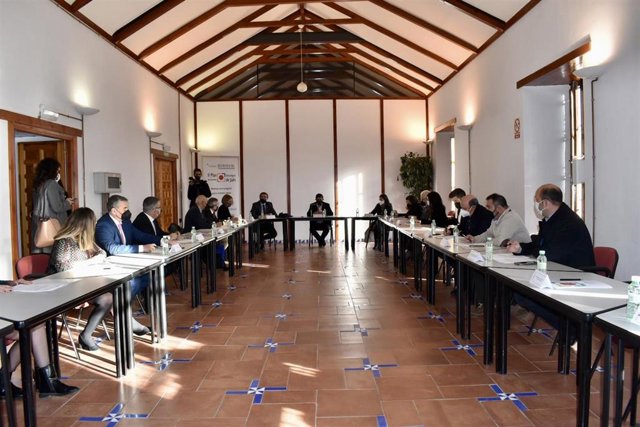 Reunión del Patronato de la Fundación Estrategias