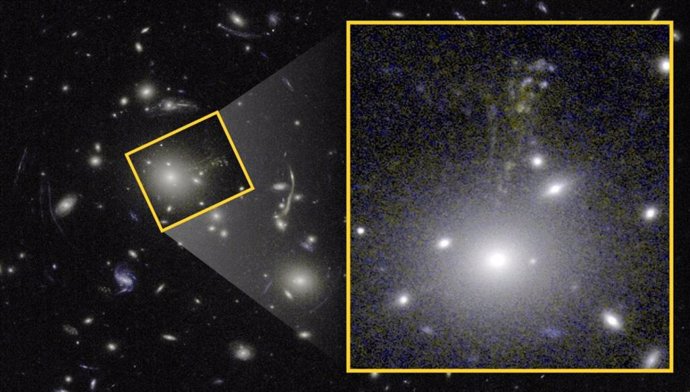 Zoom sobre la imagen del 'Caballito de mar cósmico' tomada en luz visible e infrarrojo cercano. La galaxia elíptica gigante, situada en el centro de un cúmulo de galaxias, amplía y distorsiona la luz lejana procedente de la galaxia.