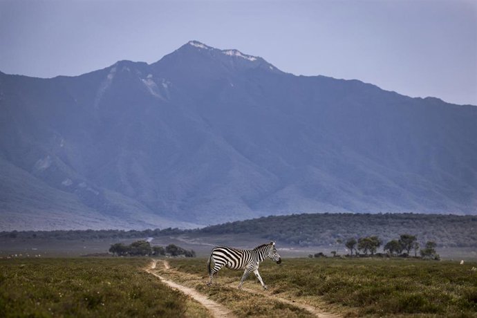 Archivo - during the recce 2021 Safari Rally Kenya, 6th round of the 2021 FIA WRC, FIA World Rally Championship, from June 24 to 27, 2021 in Nairobi, Kenya - Photo Franois Flamand / DPPI