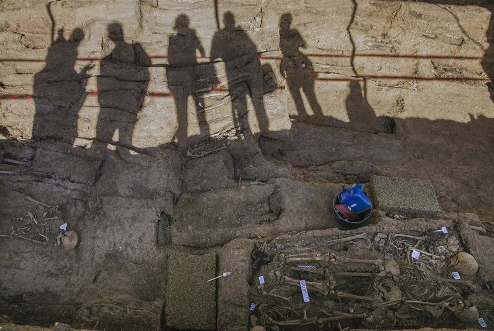 Archivo - Trabajos de exhumación de la fosa común de Pico Reja, ubicada en el cementerio de San Fernando en Sevilla, en una imagen de 17 de junio de 2020.