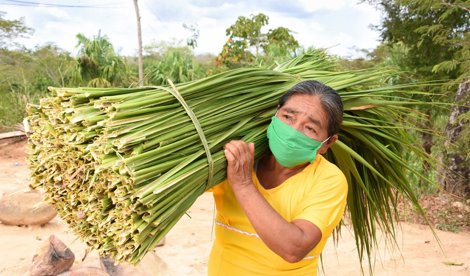 Cooperación y Desarrollo