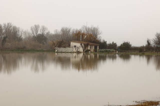 Crecida extraordinaria del río Ebro, a 13 de diciembre de 2021, en Gallur, Zaragoza, Aragón (España). 