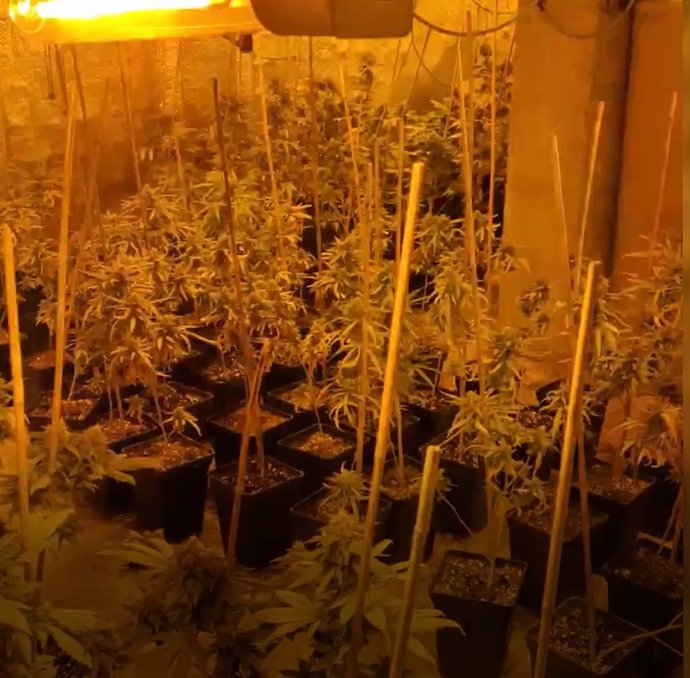 Vídeo de la noticia