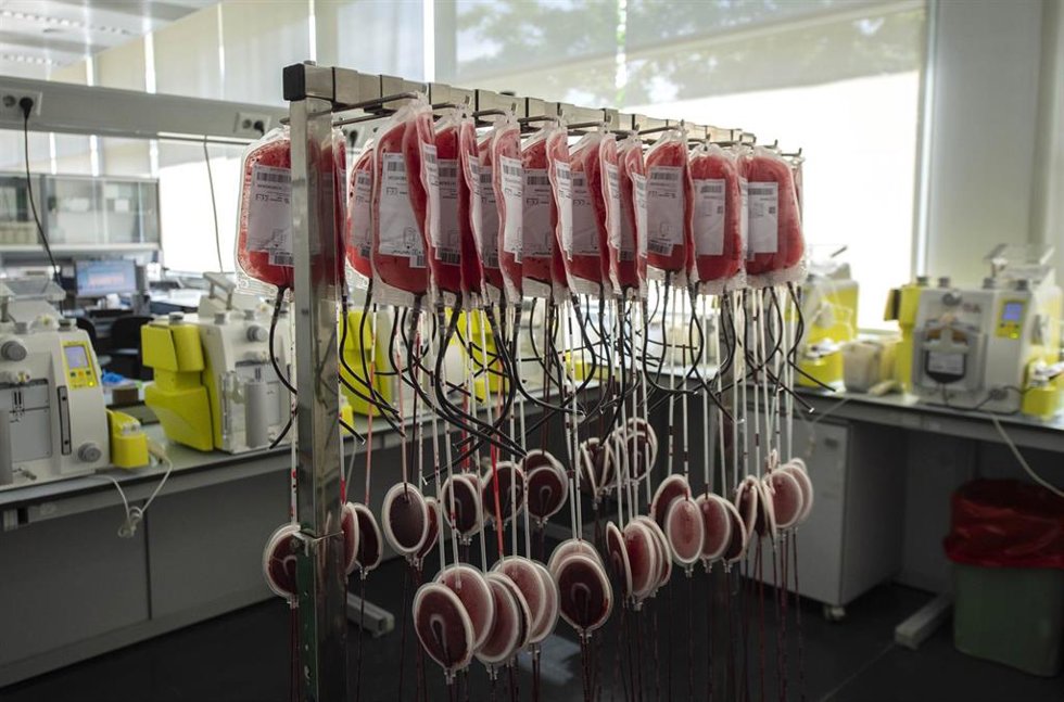 Archivo - Bolsas de sangre del Centro de Transfusión de Valdebernardo, a 14 de junio de 2021, en Madrid (España). El 14 de junio de cada año se celebra el Día Mundial del Donante de Sangre. Su objetivo es el de concienciar a todo el mundo sobre la neces
