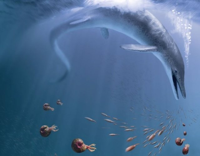 Una recreación de la vida de C. Youngorum acechando los océanos del Triásico Tardío hace 246 millones de años.