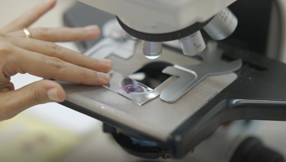 La Asociación Española Contra el Cáncer de Valencia destina 352.000 euros a proyectos científicos para mejorar la respuesta al tratamiento de cáncer de pulmón y mama