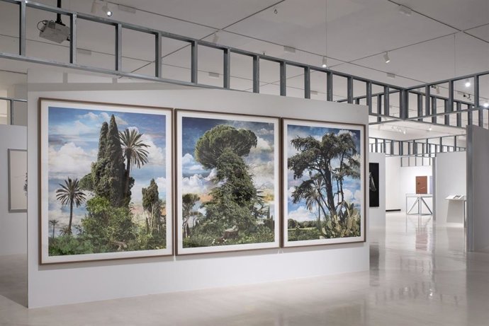 Proyecto expositivo "Roma Akademia"