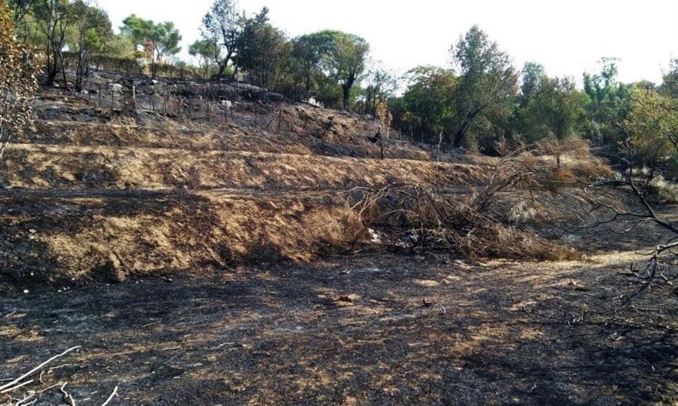 Archivo - Zona afectada por el incendio en el entorno de La Dehesa de la Villa