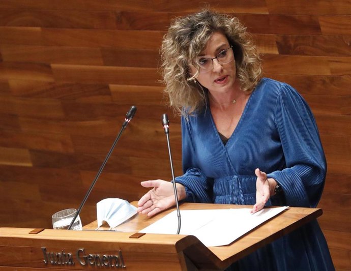 Archivo - La portavoz de Ciudadanos en la Junta General, Susana Fernández, en una imagen de archivo 