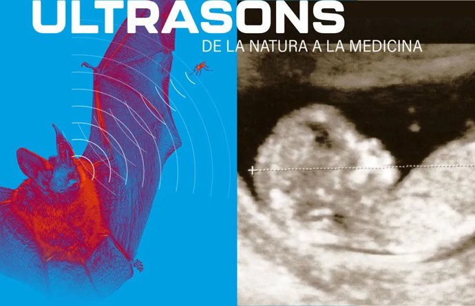 Cartel de la exposición Ultrasonidos, de la naturaleza a la medicina en el museo CosmoCaixa de Barcelona.