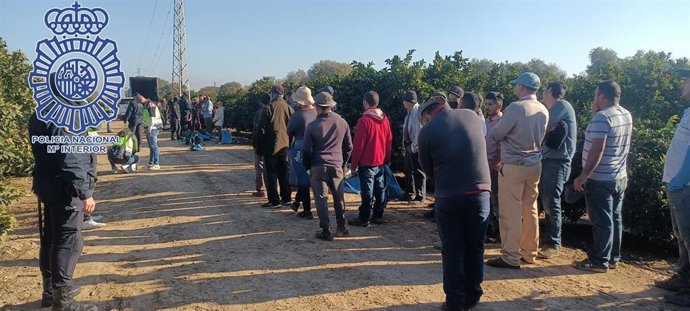 Momento de la operación en una de las fincas agrarias
