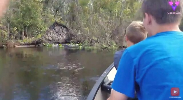 Una excursión familiar se convirtió en un tenso encuentro con un caimán gigante