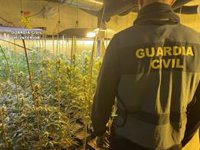 Cuatro detenidos en Lebrija (Sevilla) por una plantación interior de marihuana junto a una guardería