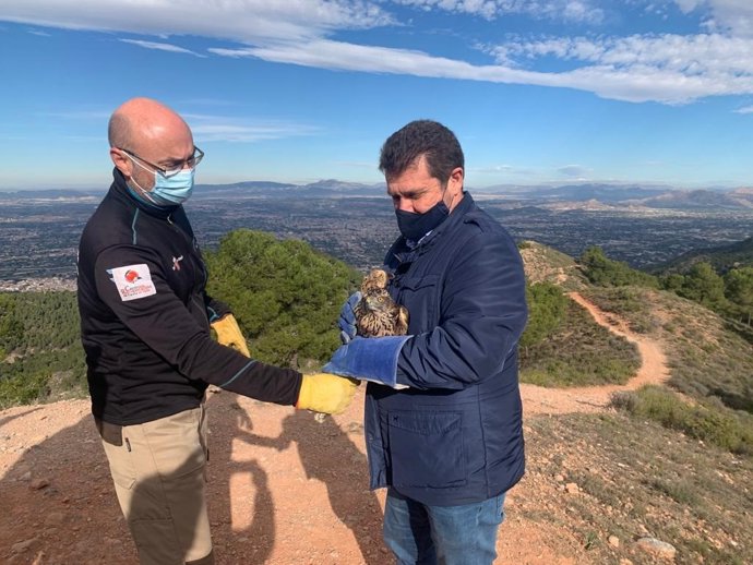 El director general del Medio Natural, Fulgencio Perona (d), momentos antes de liberar el ejemplar de azor recuperado de sus lesiones