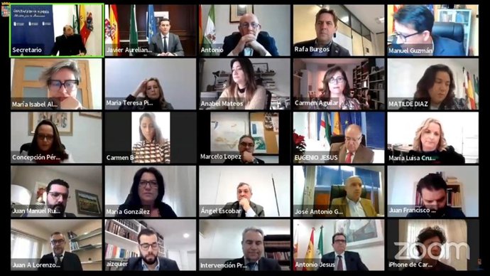 Captura de pantalla del Pleno celebrado hoy